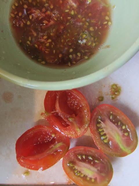 comment récolter les graines de tomates