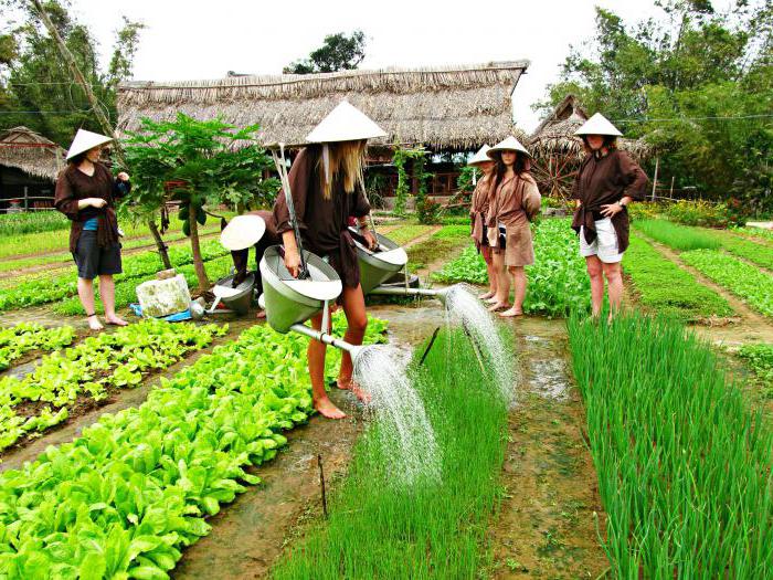 Le système d'irrigation est l'approvisionnement en eau des champs. Irrigation