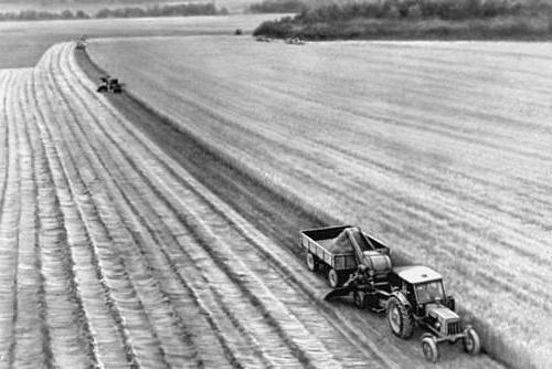 quelle est la différence entre une ferme collective et une ferme d'état