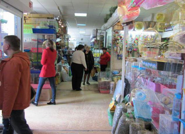 marché aux oiseaux à l'adresse Krasnodar