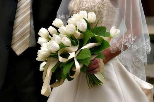 Tulipes blanches - fleurs de printemps dans votre jardin