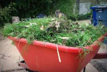 Comment se débarrasser des visqueux dans le jardin: conseils pour les jardiniers