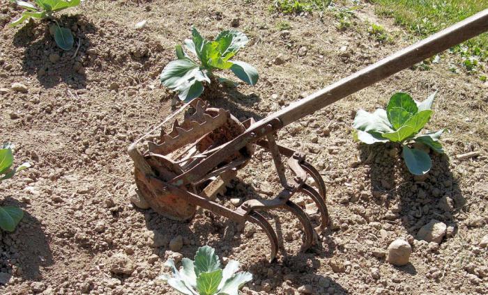 manuel de cultivateur pour les commentaires de datcha