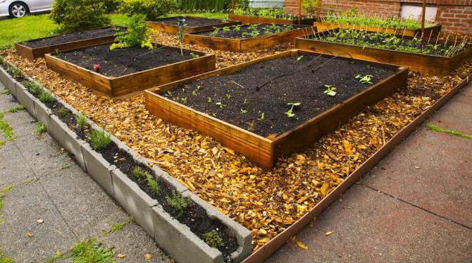 sciure de bois dans le jardin bonnes ou mauvaises critiques 