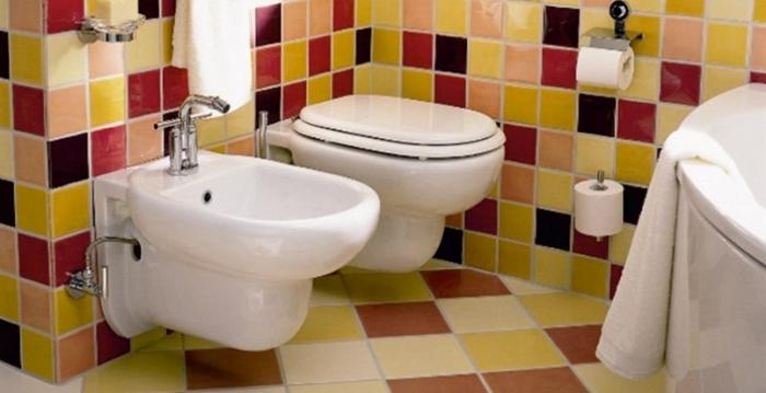 Réparation de toilettes dans une maison de panneau. Conseils pratiques