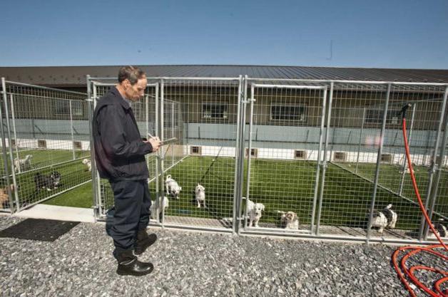 Acheter une volière pour un chien