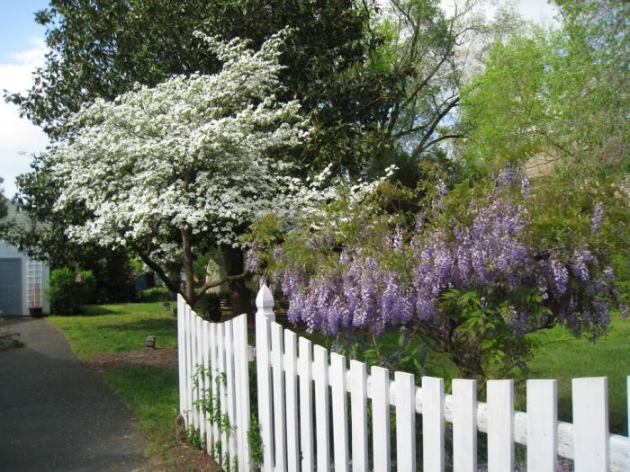 clôtures en bois pour le jardin de devant