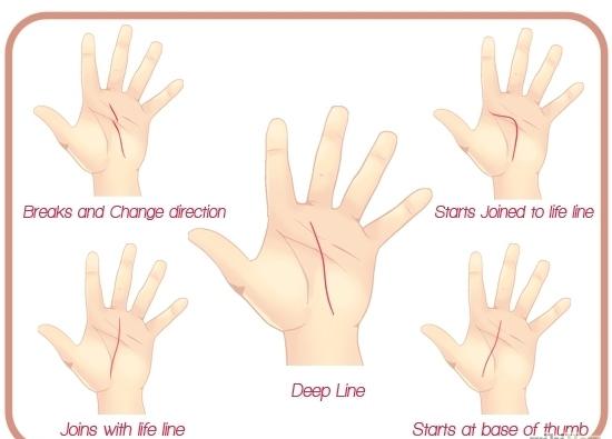 Que prédisent les lignes du destin dans la paume de votre main?