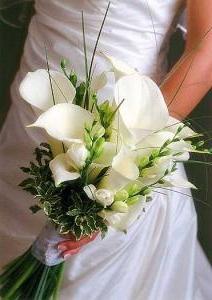 bouquet de callas