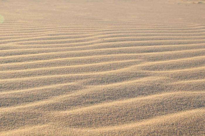 Voyons ce que le sable rêve