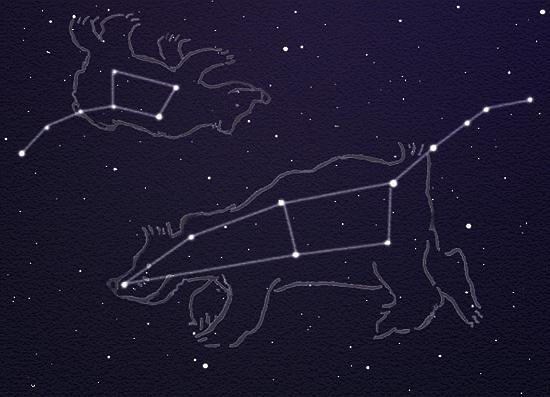 petite constellation d'ours