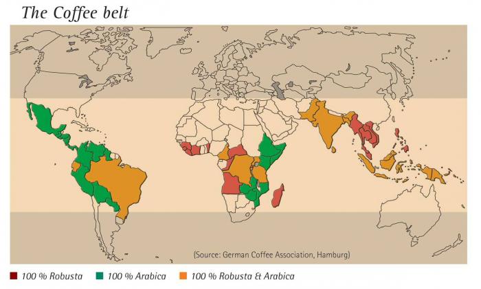 les pays où le café est cultivé 