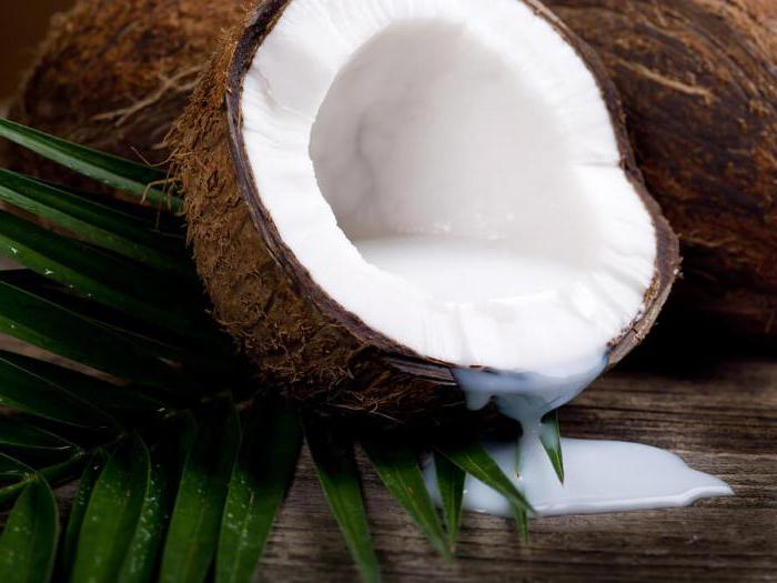 la noix de coco est un fruit ou une noix 