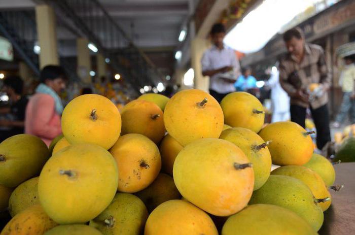 Mango. Sur les avantages et les inconvénients des fruits tropicaux