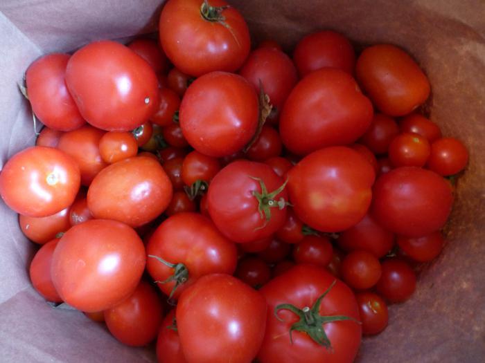 Tomates au jus de pomme pour l'hiver 