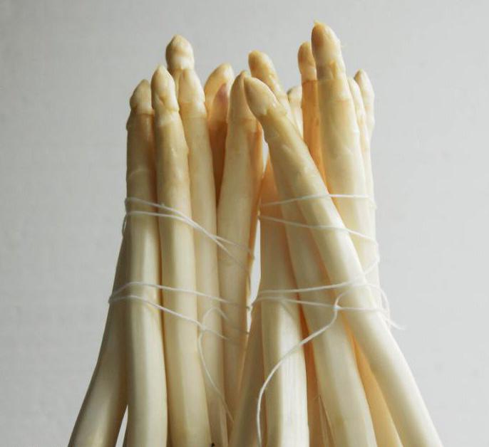 Asperges blanches: recettes de cuisine. Plats d'asperges blanches