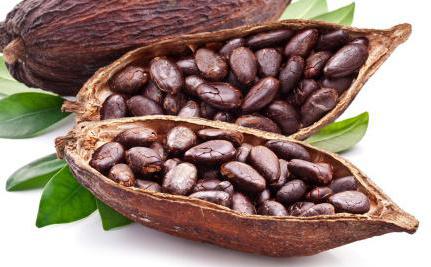 Cacao Propriétés utiles et contre-indications