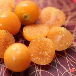 recettes de la physalis de légumes