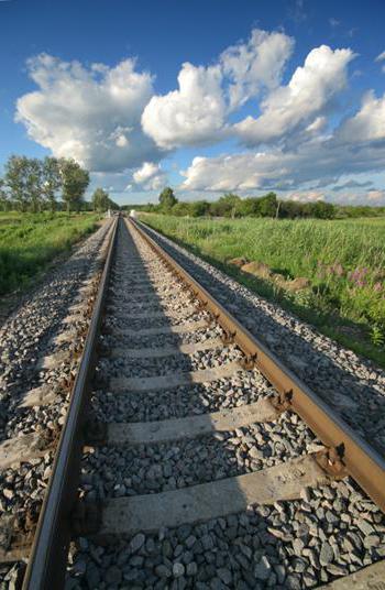 La construction du chemin de fer contournant l'Ukraine devrait être achevée en avance sur le calendrier