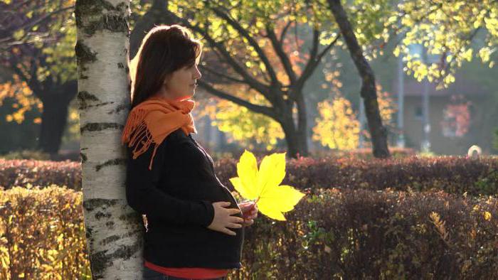 photosession enceinte sur la nature en automne