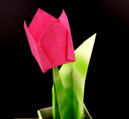 Fleurs de papier avec nos propres mains - créer un bouquet éternel