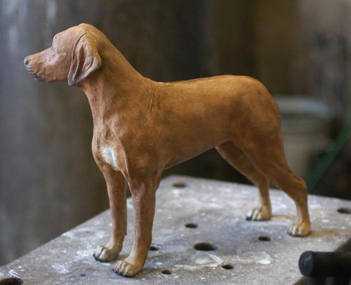 Comment mouler une pâte à modeler d'un chien rapidement et simplement?