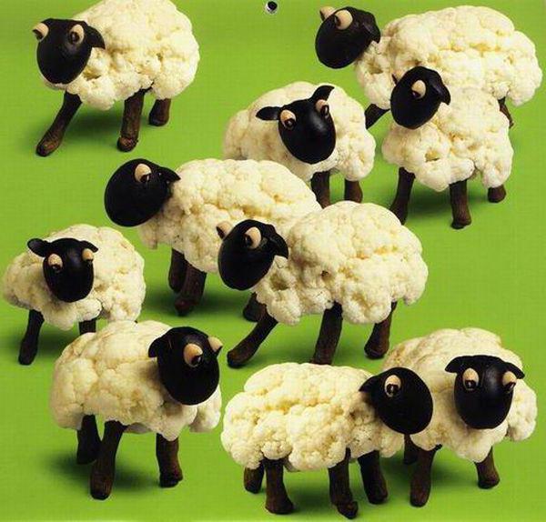 Les moutons de chou-fleur - une chose étrange, agréable à tous