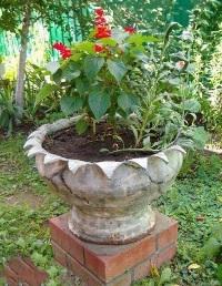 Vases de jardin de pneus avec leurs propres mains