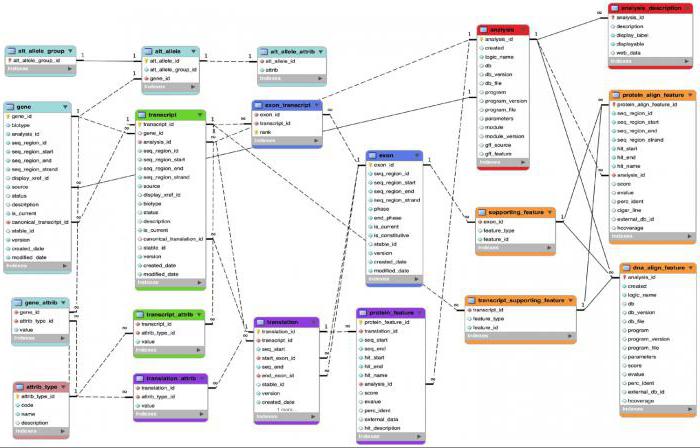 Technologies pour la création de site web