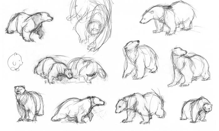 Comment dessiner un ours magnifiquement?