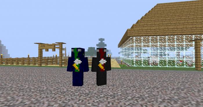 serveurs ip dans minecraft