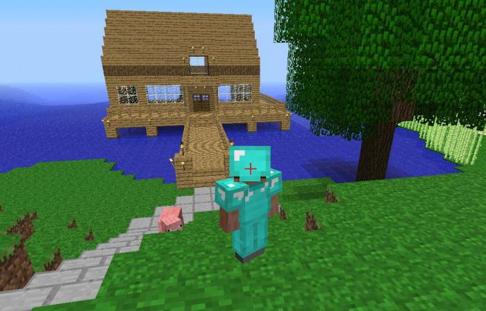 "Meincraft": comment faire un surnom sur la peau et changer l'apparence