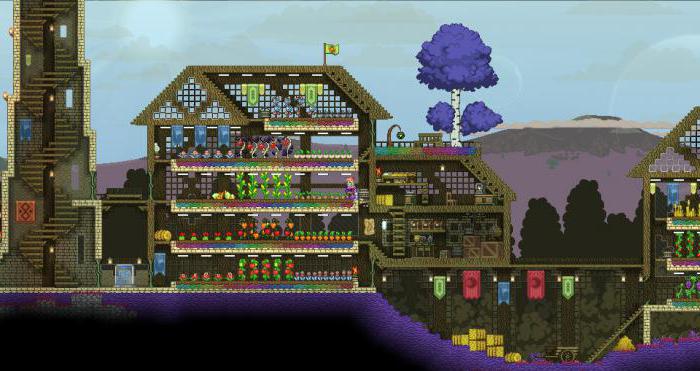  jeu starbound sur le net