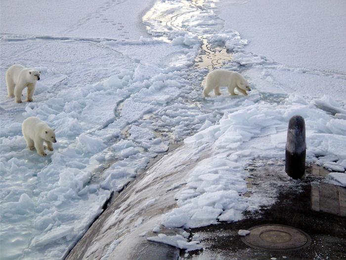 Mer Blanche: problèmes environnementaux de la mer