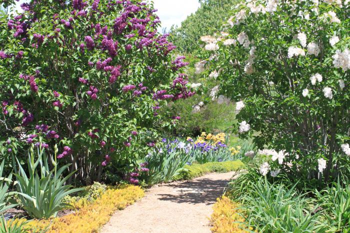 Jardin botanique de Krivoï Rog - un paradis