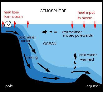 Quelle est la circulation thermohaline des océans?