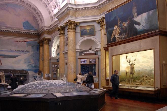 Musée d'État de l'Arctique et de l'Antarctique, Saint-Pétersbourg