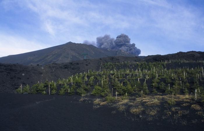 Éruption volcanique: causes et conséquences