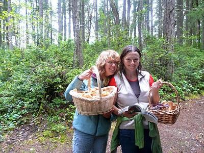 où il est préférable de ramasser des champignons