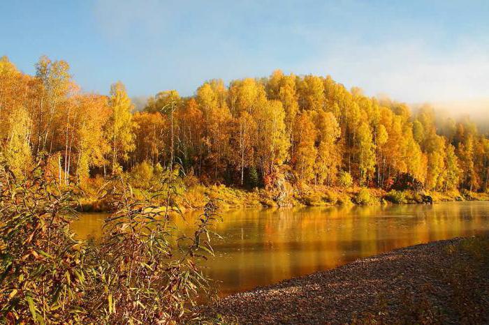 repose sur la rivière du préservatif