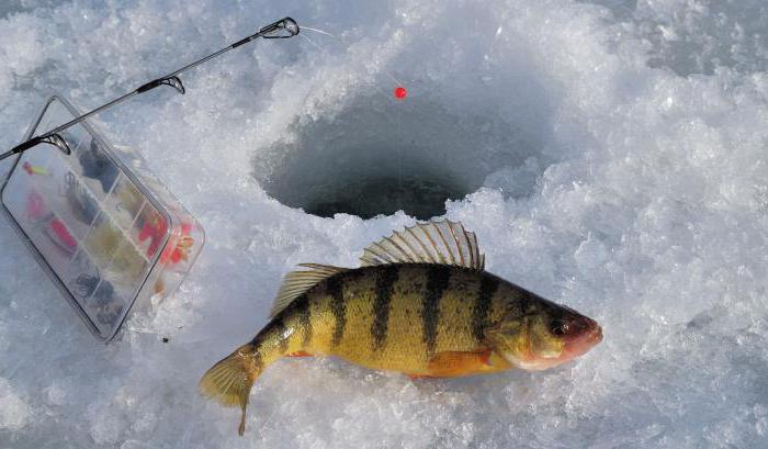 pêcher sur le lac Kubensky