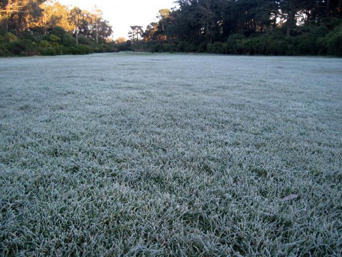 La nature en automne: une série de métamorphoses étonnantes