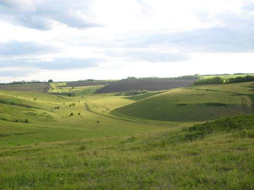 Variété de la nature de la région de Voronej