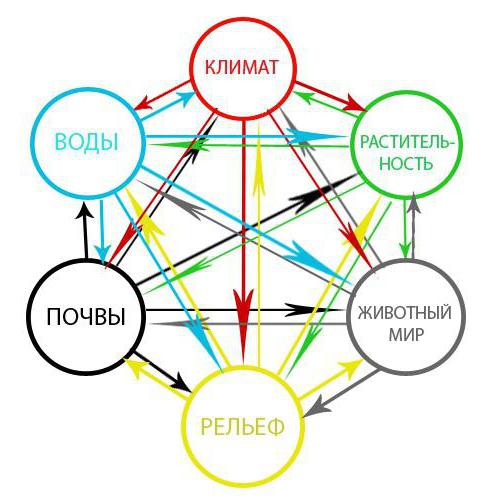 Quels sont les complexes naturels? Leurs types et caractéristiques