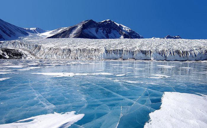 Le climat de l'Arctique. Nature et glace de l'Arctique