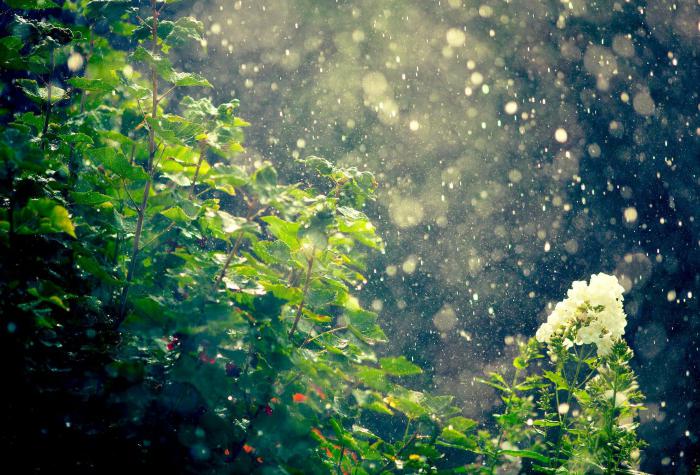 la pluie de la nature