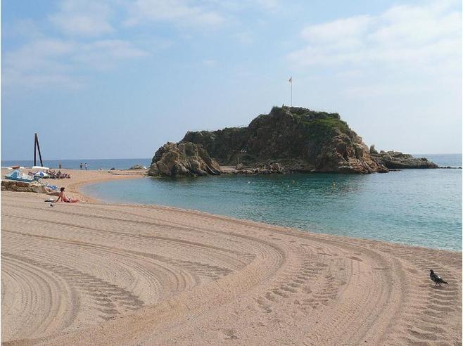 Blanes: toutes les activités