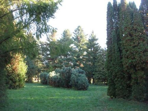 Jardin botanique de Nijni Novgorod