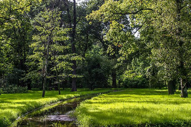 Jardin botanique à Saint-Pétersbourg: photo, prix et calendrier