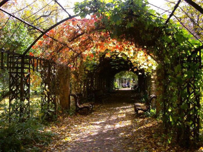 jardin botanique